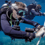 Transform Your Diving Skills with Intentional Training